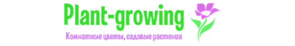 Plant-growing