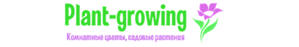 Plant-growing